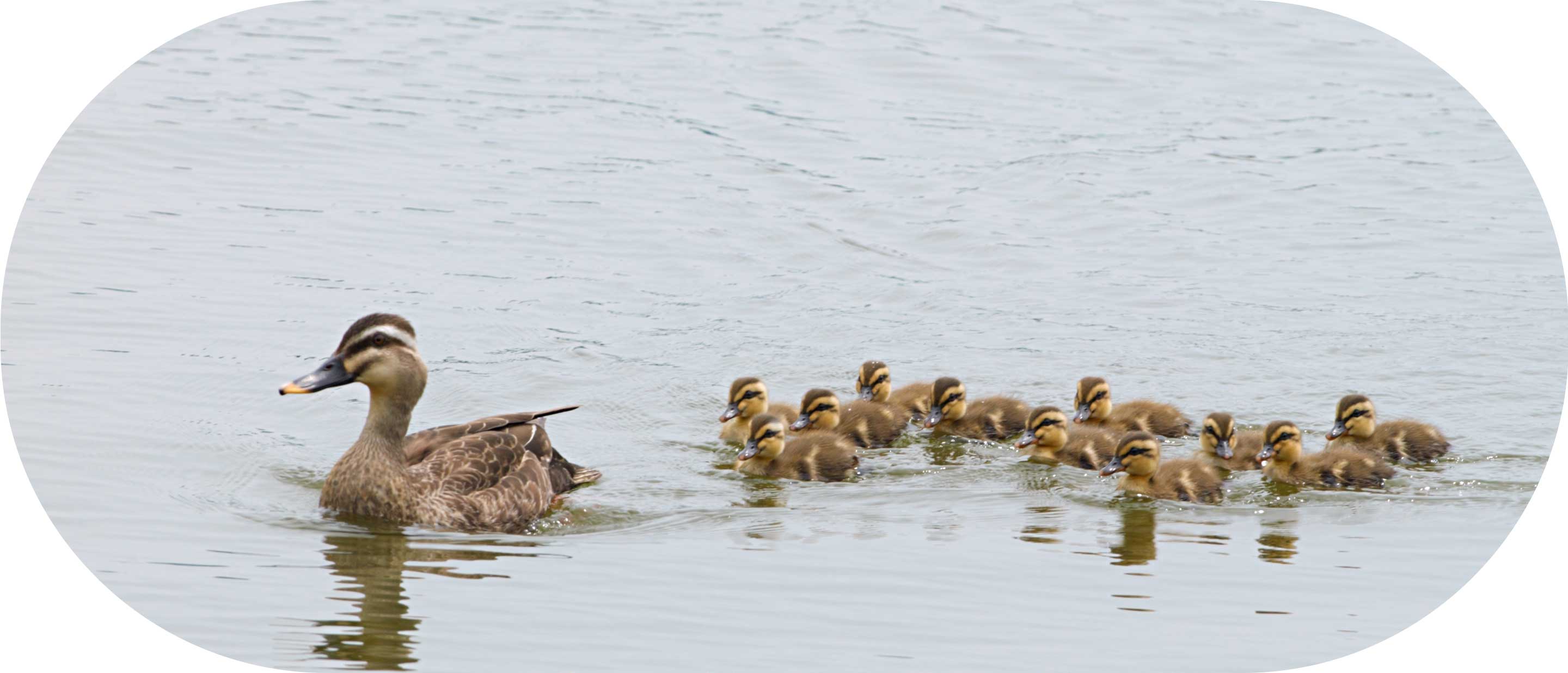 にじのおうち保育園